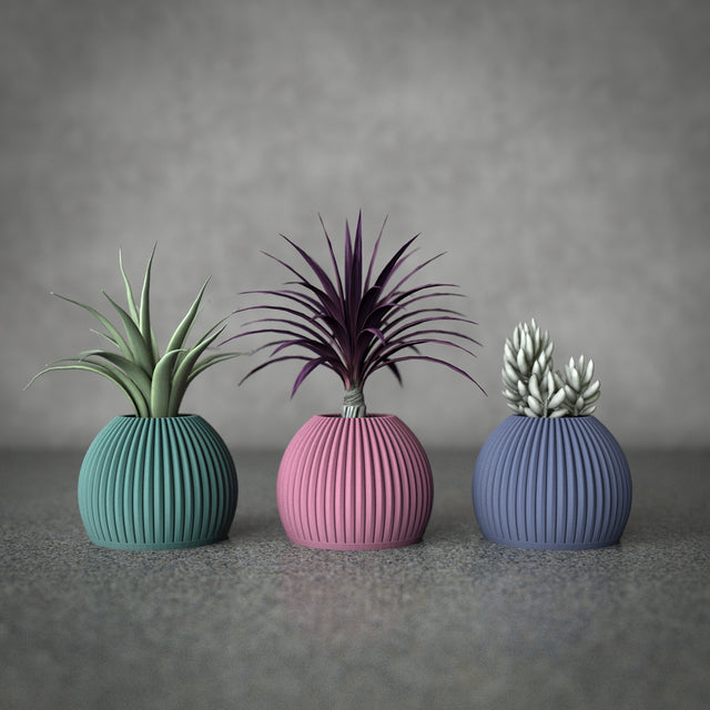 Mini Planter Set | Cactus Pod S