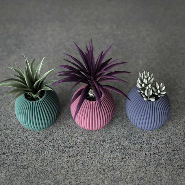 Mini Planter Set | Cactus Pod S
