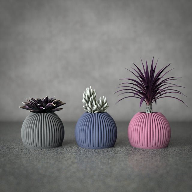 Mini Planter Set | Cactus Pod S