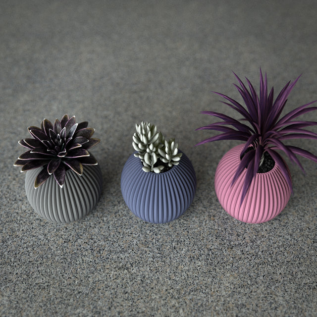 Mini Planter Set | Cactus Pod S