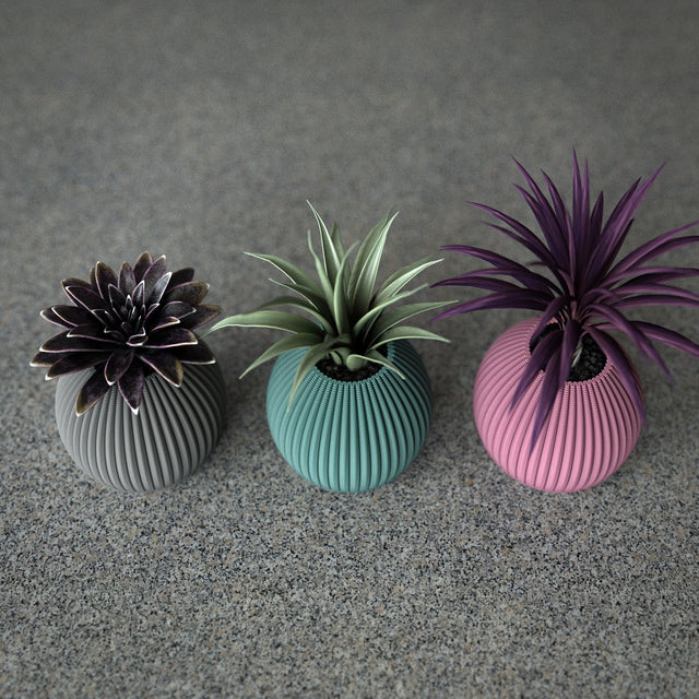 Mini Planter Set | Cactus Pod S
