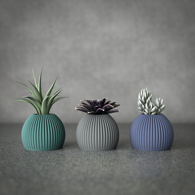 Mini Planter Set | Cactus Pod S
