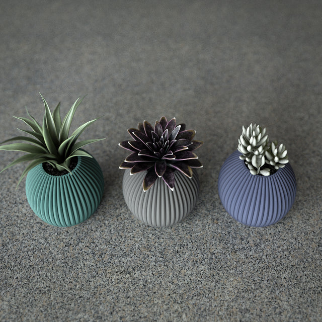 Mini Planter Set | Cactus Pod S