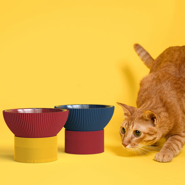 Pogo Bowl
