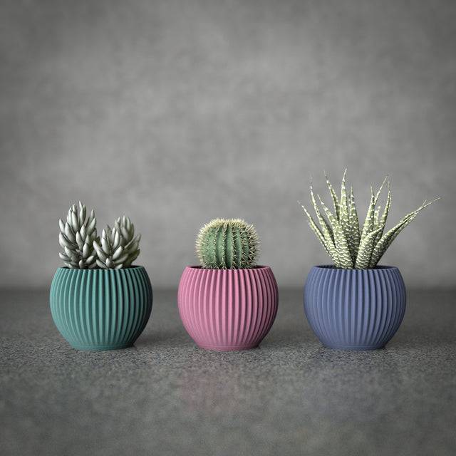 Mini Planter Set | Swell Pod S