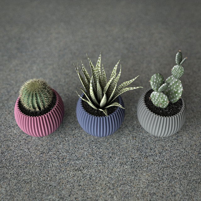Mini Planter Set | Swell Pod S