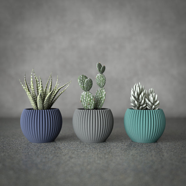 Mini Planter Set | Swell Pod S
