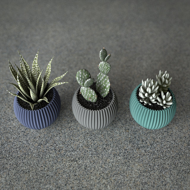 Mini Planter Set | Swell Pod S