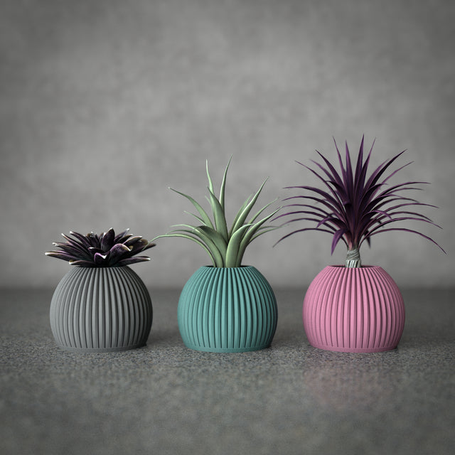 Mini Planter Set | Cactus Pod S